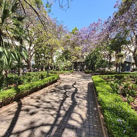 Apartamento Cozy & Refurbished In Old Town